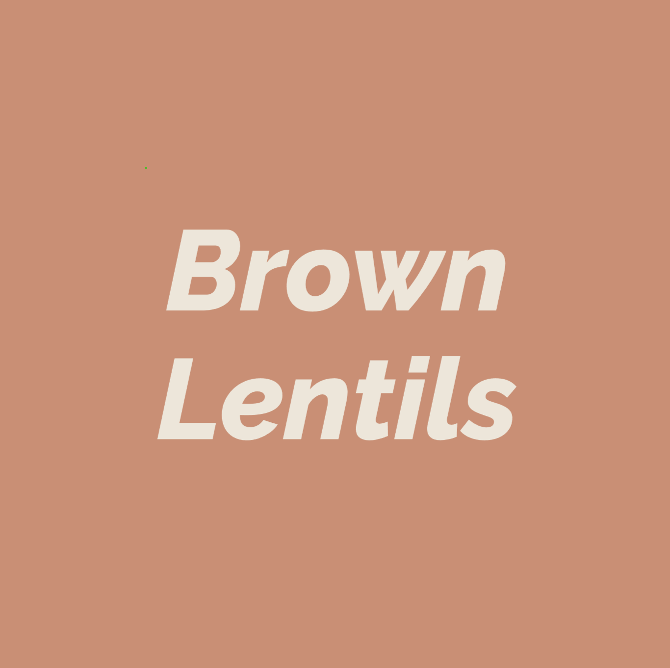 Styled Vinyl Pantry Container Label Sets - Reusable - Brown Lentils