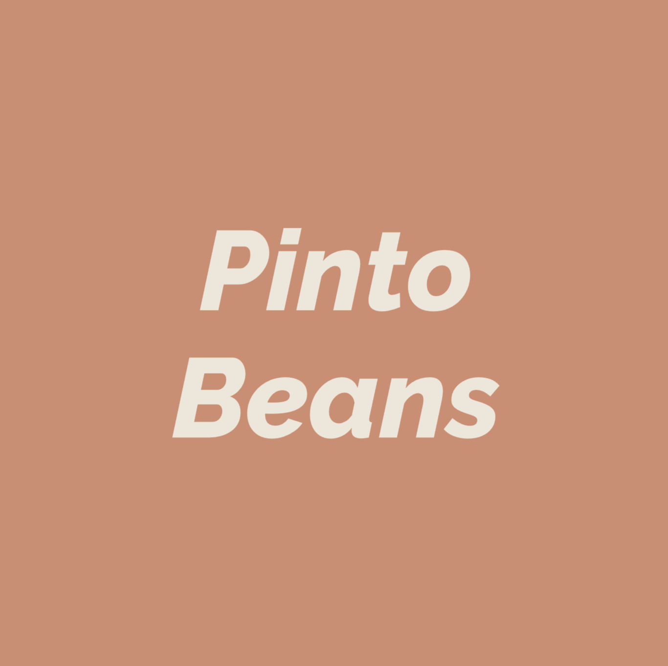 Styled Vinyl Pantry Container Label Sets - Reusable - Pinto Beans