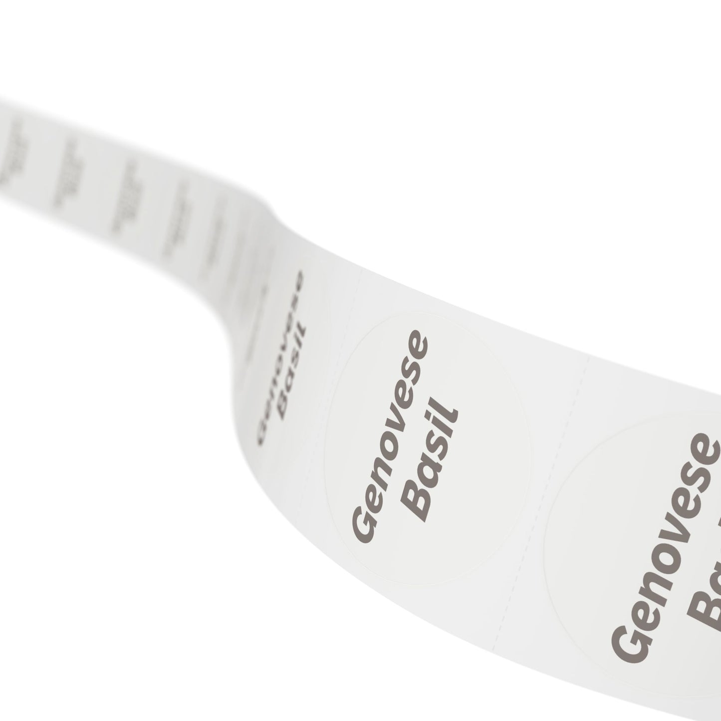 🧊 Genovese Basil 🧊 Herbs and Spices - Round Sticker Label Rolls