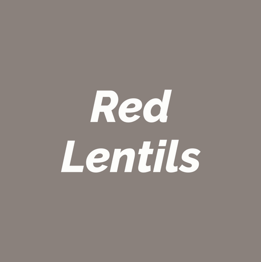 Styled Vinyl Pantry Container Label Sets - Reusable - Red Lentils